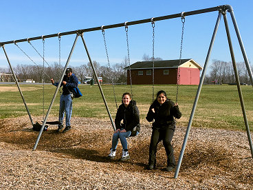 On the Swings